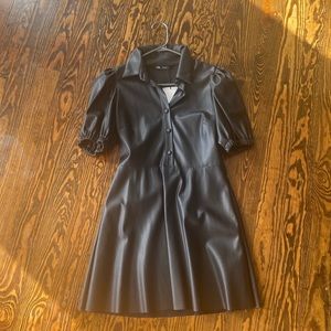 Zara Pleather Dress